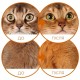 Nature's Protection Superior Care Red Cats Grain Free with Herring Adult all Breeds Сухой беззерновой корм для взрослых кошек с рыжим окрасом шерсти