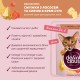 Delickcious Консервы для взрослых кошек с лососем и сыром в крем-супе