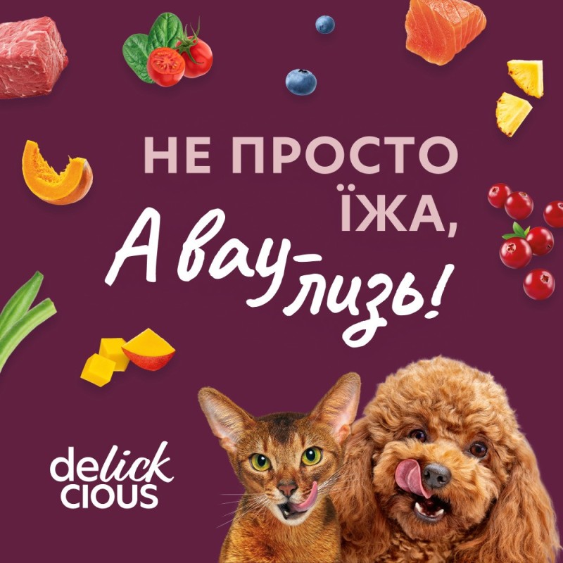 Delickcious Консервы для взрослых кошек с уткой и тыквой в крем-супе