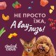 Delickcious Консервы для взрослых кошек с уткой и тыквой в крем-супе