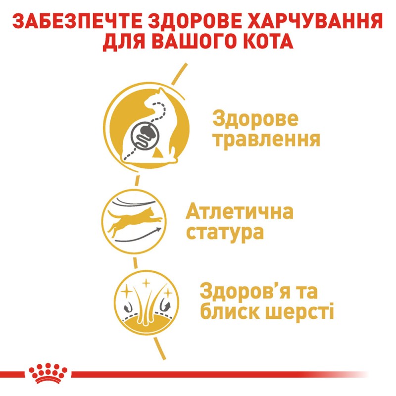 Royal Canin Bengal Adult Сухий корм для дорослих кішок